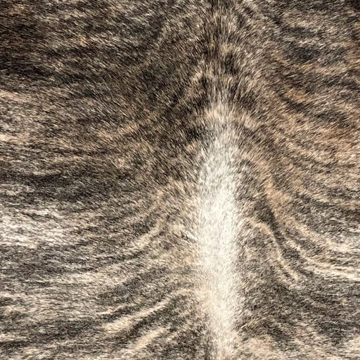 Closeup of this Brazilian Brindle Cowhide, showing ivory and light brown with black, brindle markings, and ivory down the spine (BRBR1672)