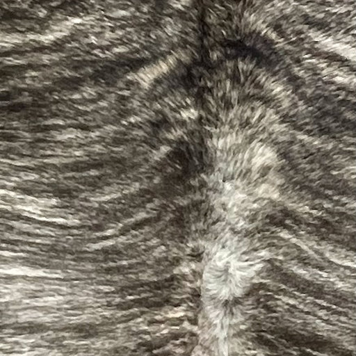 Closeup of this extra-large Brazilian Brindle Cowhide, showing white with black, brindle markings (BRBR1673)