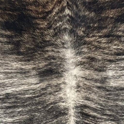 Closeup of this XXL Brazilian Brindle Cowhide, showing white with black, brindle markings, and brown mixed in on the shoulder (BRBR1674)