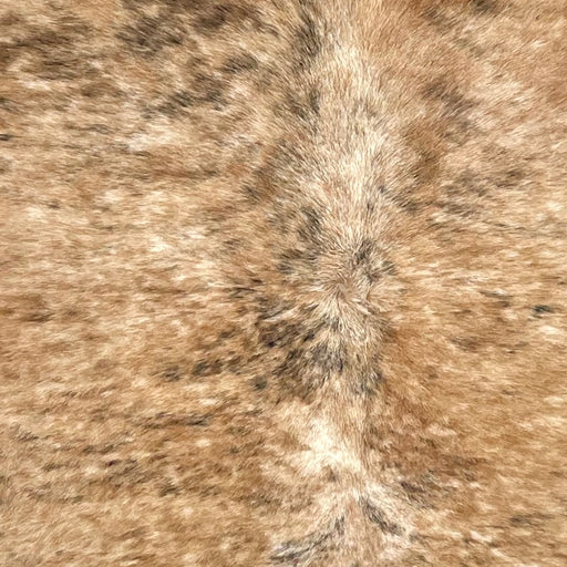 Closeup of this extra-large Spotted Brazilian Brindle Cowhide, showing a mix of light brown and ivory, with black spotted, brindle markings (BRBR1675)
