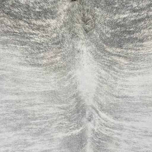 Closeup of this XXL Brazilian Brindle Cowhide, showing ivory with light gray and dark gray, brindle markings (BRBR1676)