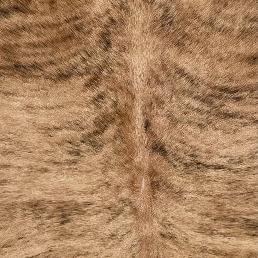 Closeup of the light brown and black brindle cowhide BRBR1678, showing the hair and markings