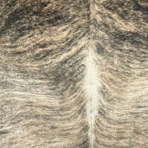 Closeup of this Large Brazilian Brindle Cowhide, showing ivory and beige with black, brindle markings (BRBR1679)