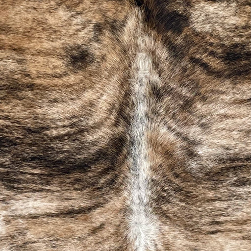 Closeup of this Brazilian Brindle Cowhide, showing a mix of brown and white with black, brindle markings, and white down the spine (BRBR1680)