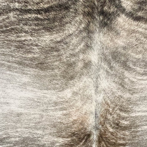 Closeup of this Brazilian Brindle Cowhide, showing white with gray, brown, and black, brindle markings (BRBR1682)