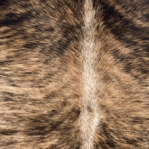 Closeup of this Large Brazilian Brindle Cowhide, showing brown with black, brindle markings (BRBR1683)