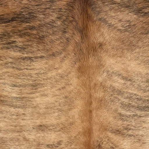 Closeup of this Brazilian Brindle Cowhide, showing light brown with black, brindle markings, and reddish brown down the spine (BRBR1684)