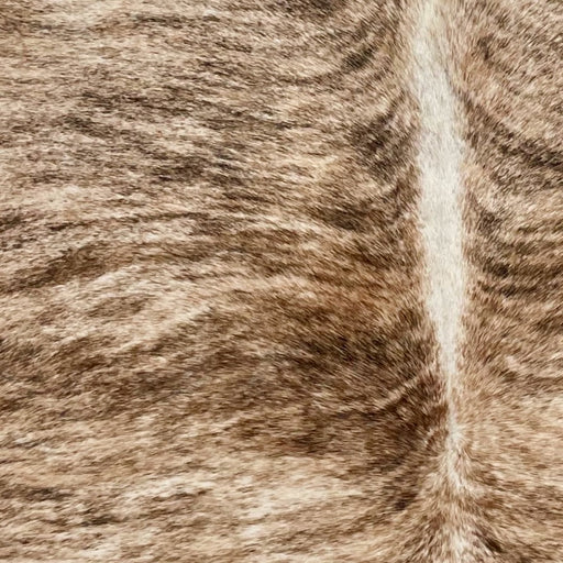 Closeup of this Brazilian Brindle Cowhide, showing ivory and brown with black, brindle markings (BRBR1687)