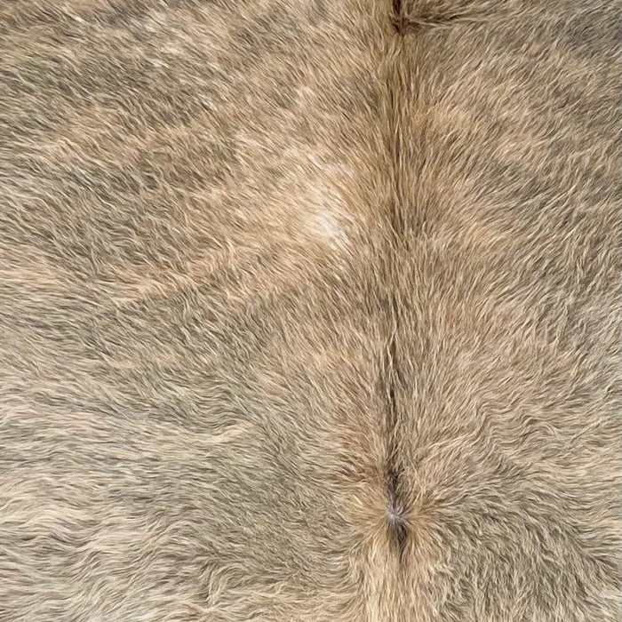 Closeup of this Brazilian Brindle Cowhide, showing long hair that is ivory and beige with gray, brindle markings  (BRBR1689)
