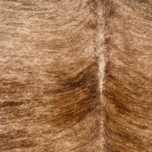 Closeup of this Brazilian Brindle Cowhide, showing light tan with reddish brown and black, brindle markings (BRBR1690)
