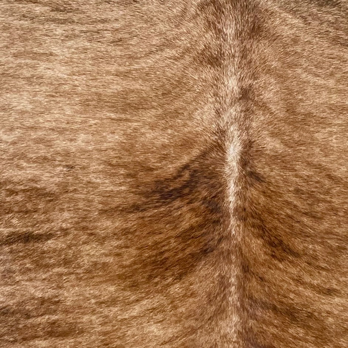 Closeup of this Brazilian Brindle Cowhide, showing light tan with reddish brown and black, brindle markings (BRBR1690)
