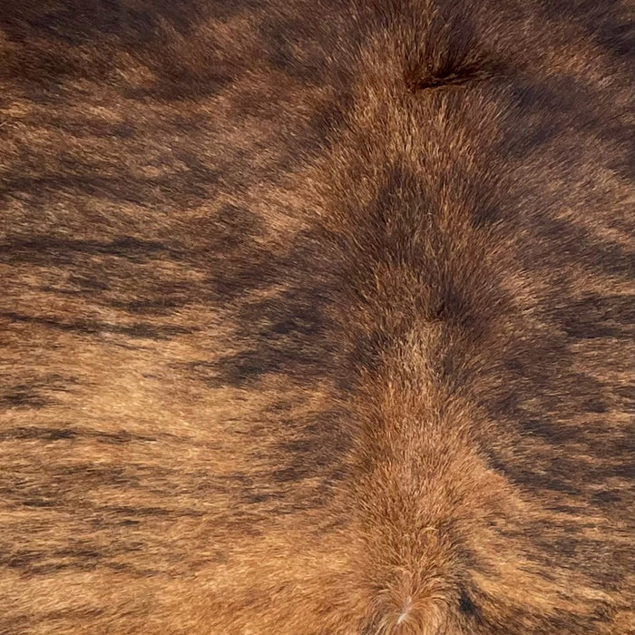 Closeup of this Brazilian Spotted Brindle Cowhide, showing brown and reddish brown, with black, brindle markings  (BRBR1692)