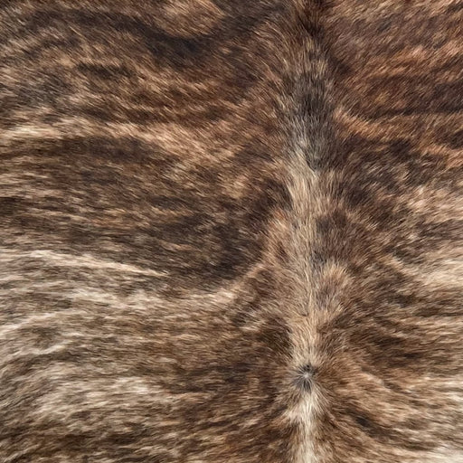 Closeup of this Brazilian Brindle Cowhide, showing white and brown, with black and brown, brindle markings (BRBR1694)