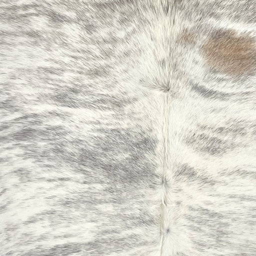 Closeup of this Brazilian Brindle Cowhide, showing ivory with gray, brindle markings, and one brown spot on the right side of the back  (BRBR1698)