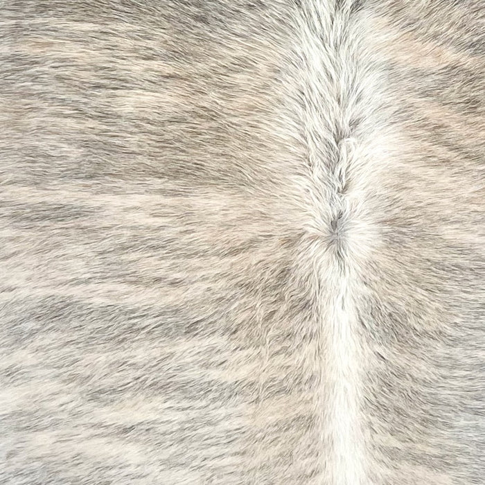 Closeup of this Brazilian Brindle Cowhide, showing a mix of white and light brown with gray, brindle markings, and white, longer hair down the spine (BRBR1700)