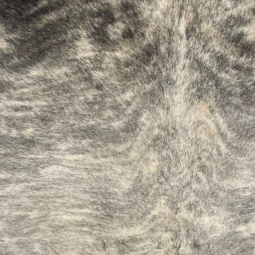 Closeup of this XL Brazilian Cowhide, showing ivory with gray and black, brindle markings (BRBR1701)