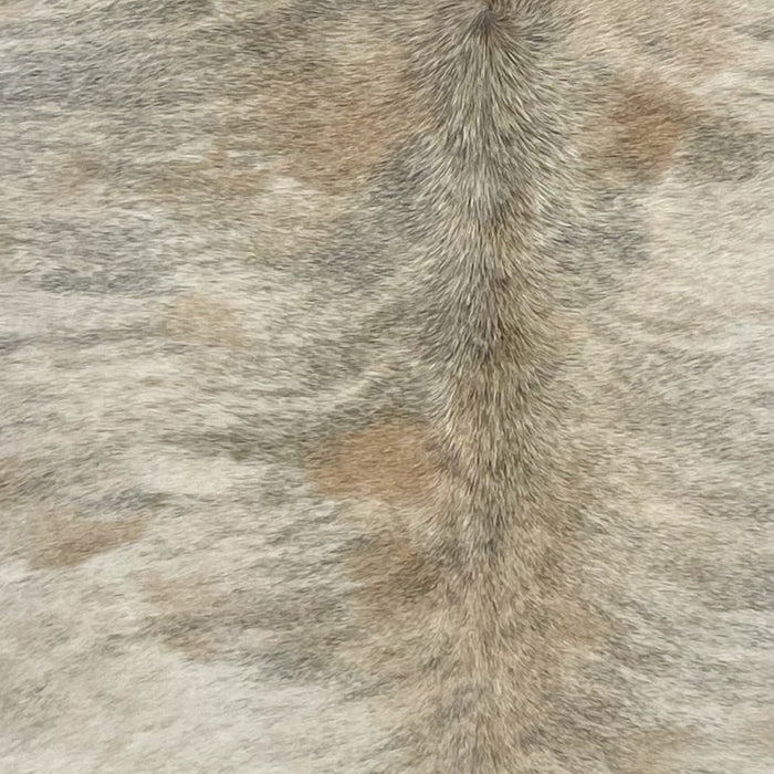 Closeup of this Large Brazilian Brindle Cowhide, showing ivory and light brown with gray, brindle markings (BRBR1702