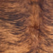 Closeup of this Brazilian Brindle Cowhide, showing reddish brown with black, brindle markings  (BRBR1703)