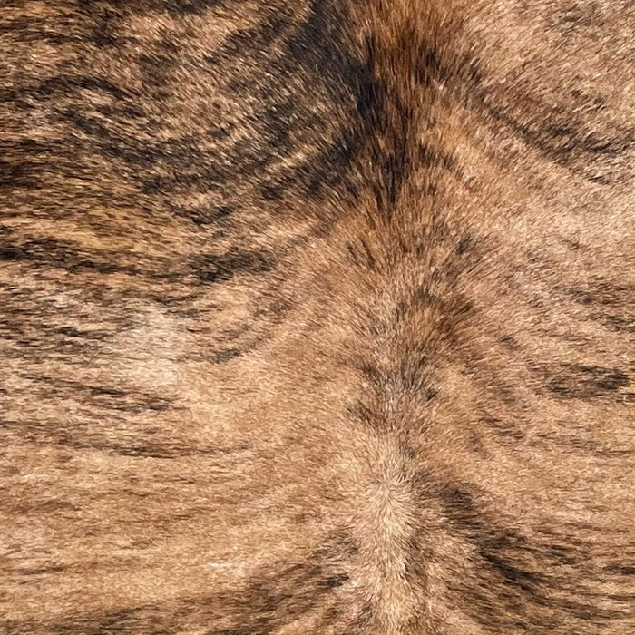 Closeup of this Brazilian Brindle Cowhide, showing brown with black, brindle markings (BRBR1705)