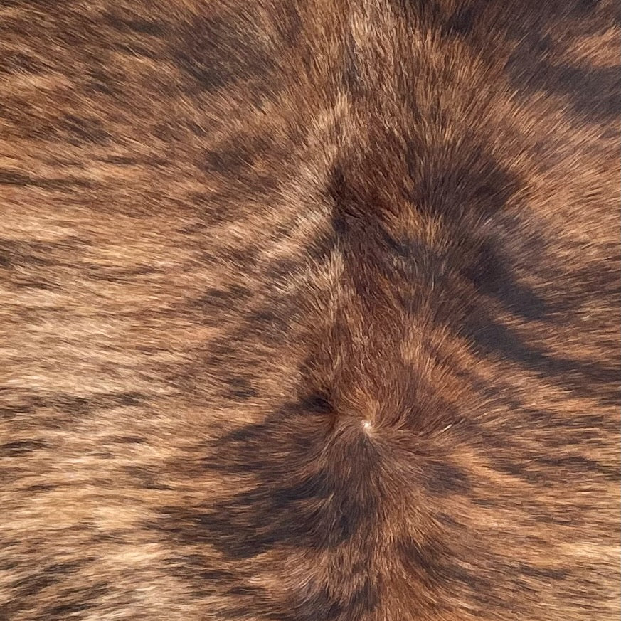 Closeup of this Brazilian Brindle Cowhide, showing tan and reddish brown with black and dark brown, brindle markings  (BRBR1706)