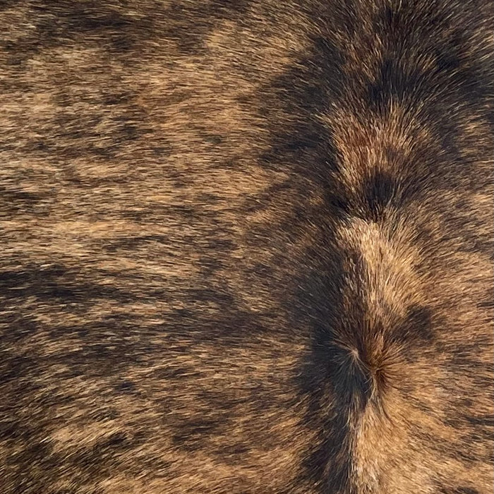 Closeup of this Brazilian Brindle Cowhide, showing brown with black, brindle markings (BRBR1707)