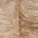Closeup of this Brazilian Brindle Cowhide, showing ivory with light brown and black, brindle markings  (BRBR1761)