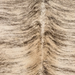 Closeup of this Large Brazilian Brindle Cowhide, showing light tan and light brown with black, brindle markings  (BRBR1762)