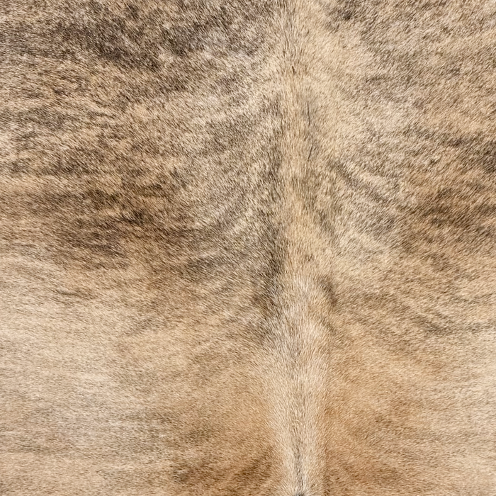Closeup of this Brazilian Brindle Cowhide, showing light brown with black, brindle markings (BRBR1764)