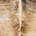 Closeup of this Brazilian Spotted Brindle Cowhide, showing white and light brown, with black, brown, and light brown brindle markings (BRBR1765)