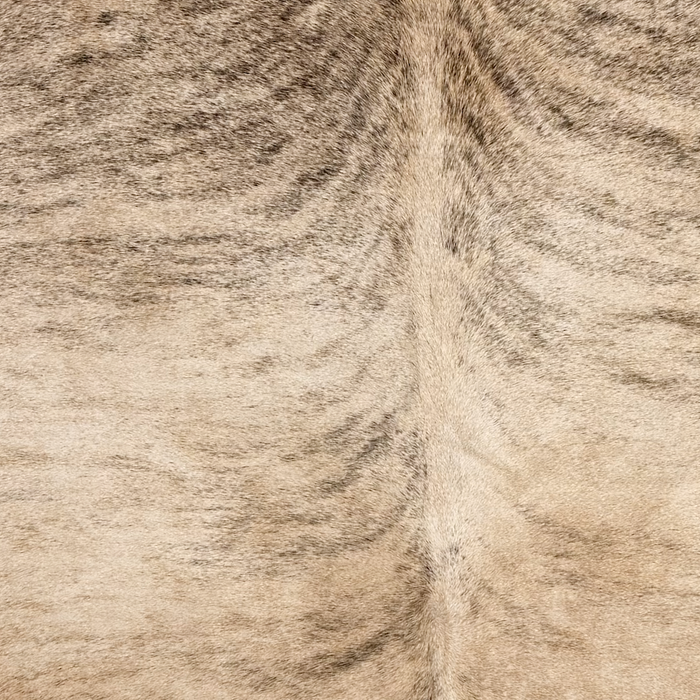 Closeup of this Brazilian Brindle Cowhide, showing light tan with black, brindle markings (BRBR1766)