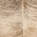Closeup of this Brazilian Brindle Cowhide, showing light tan with black, brindle markings (BRBR1766)