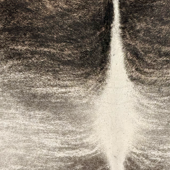 Closeup of this Brazilian Brindle Cowhide, showing white and brown with black and gray, brindle markings (BRBR1767)