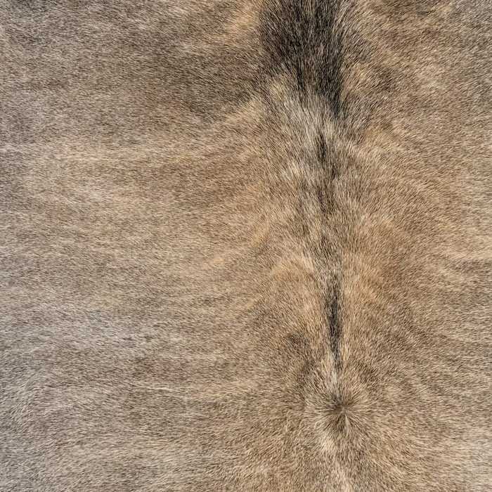 Closeup of this Large Brazilian Brindle Cowhide, showing gray and brown  (BRBR1770)