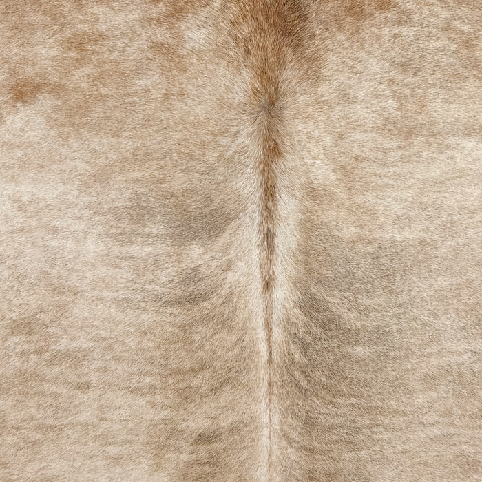 Closeup of this Brazilian Brindle Cowhide, showing light brown with gray, brindle markings (BRBR1771)