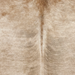 Closeup of this Brazilian Brindle Cowhide, showing light brown with gray, brindle markings (BRBR1771)