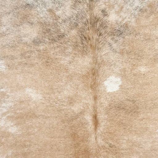 Closeup of this Brazilian Brindle Cowhide, showing light brown, ivory, and gray - 7'2" x 5'10" (BRBR1773)