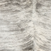 closeup of this Brazilian Brindle Cowhide, showing white with gray, brindle markings  (BRBR1774)