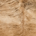 Closeup of this Brazilian Brindle Cowhide, showing brown with black, brindle markings (BRBR1776)