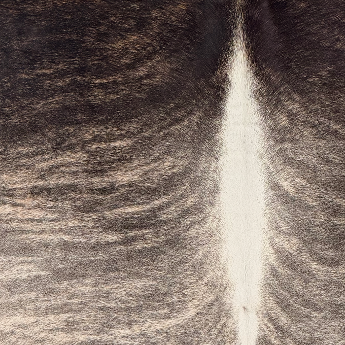 Closeup of this Brazilian Brindle Cowhide, showing ivory, black, and light brown  (BRBR1777)
