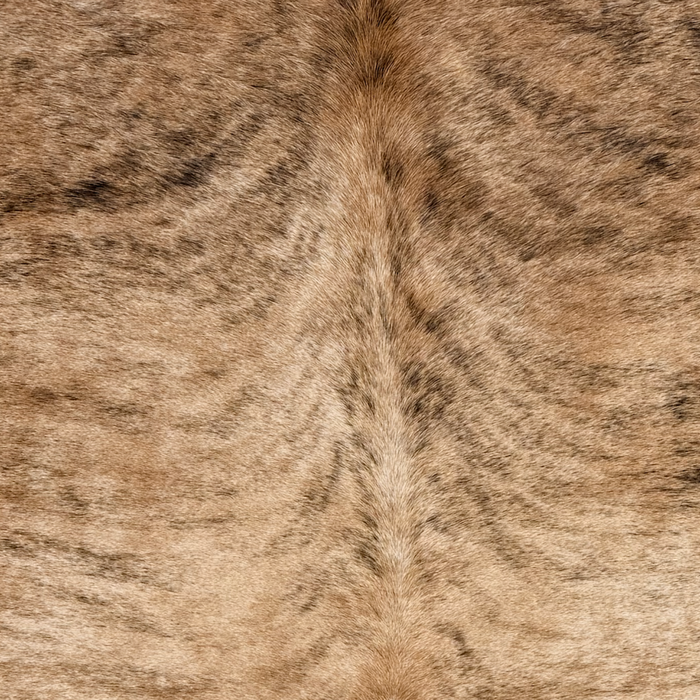 Closeup of this Brazilian Brindle Cowhide, showing light brown with black and darker brown, brindle markings (BRBR1779)