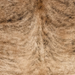 Closeup of this Brazilian Brindle Cowhide, showing light brown with black and darker brown, brindle markings (BRBR1779)