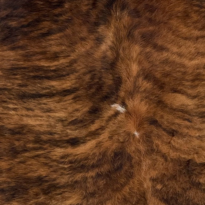 Closeup of this Brazilian, Brindle Cowhide, showing brown and black, with a small, white spot in the middle (BRBR970)
