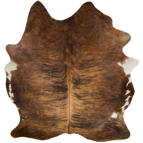 Two Tone Brown and Black Brazilian Brindle Cowhide:  reddish brown and golden brown with black, brindle markings, and white on part of the belly - 7'3" x 5'9" (BRBR972)