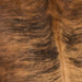 Closeup of this Two Tone Brown and Black, Brazilian, Brindle Cowhide, showing reddish brown and golden brown with black, brindle markings (BRBR972)