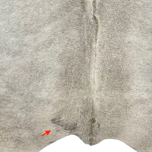 Large Gray Brazilian Cowhide, showing one brand mark near the lower edge, on the left side (BRGR193)