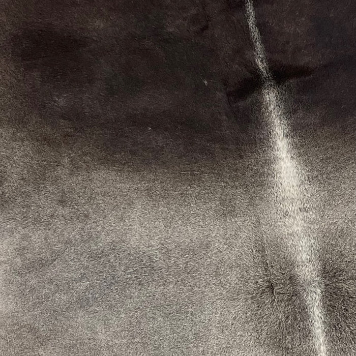 Closeup of this XXL, Two Tone Gray, Brazilian Cowhide, showing medium gray on the back, and blackish gray on the shoulder (BRGR198)
