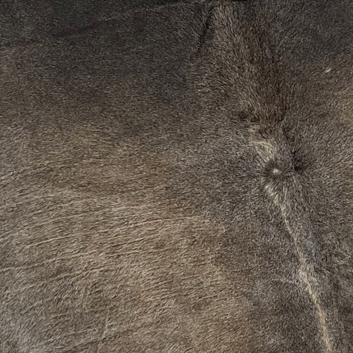 Closeup of this XL, Dark Gray, Brazilian Cowhide, showing dark gray, with faint hints of light brown mixed in on the back (BRGR204)