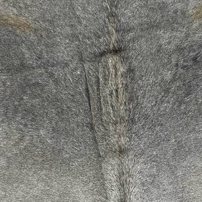 Closeup of this Large, Brazilian Cowhide, showing dark gray, with slightly longer hair on the spine  (BRGR211)