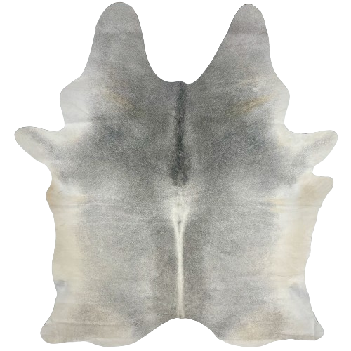 Large Gray Brazilian Cowhide, 2 brand marks:  gray, with darker gray down the middle of the shoulder, white down the rest of the spine, and off-white on the belly, and it has two brand marks on the left side of the butt - 7'9" x 5'7" (BRGR216)