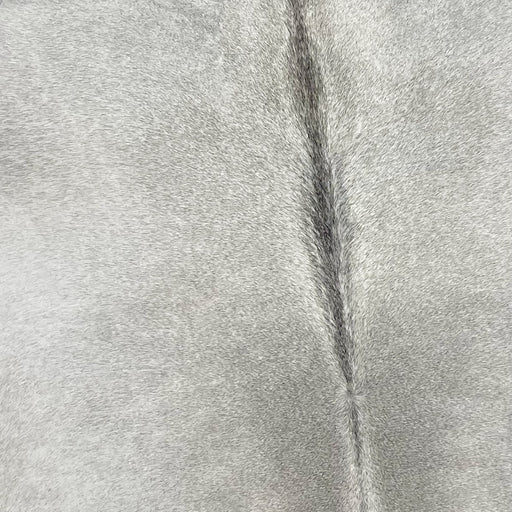 Closeup of this Brazilian Cowhide, showing light gray with dark gray down the spine (BRGR221)